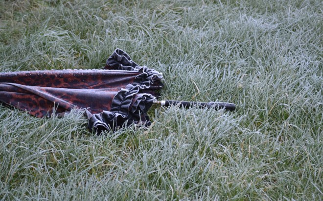 2016-05-06 seneca-ueber-verlust v01