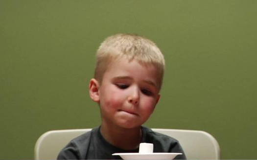 2016-06-10 marshmallow-experiment v01