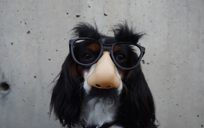 2016-08-20 nasenhaarschneider v01